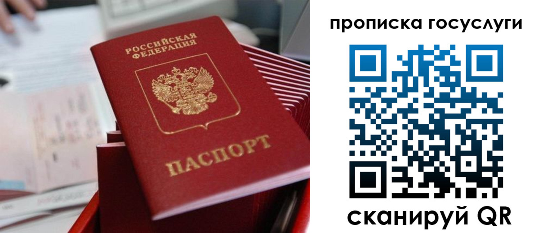 прописка законно в Кимовске